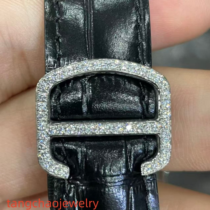 VVS Moissanite Cartier Santos WSSA0009 Blue